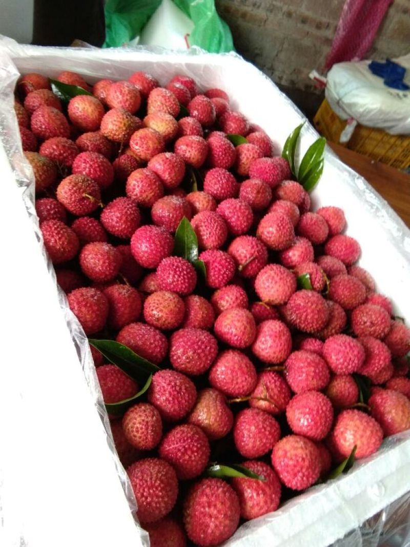 荔枝