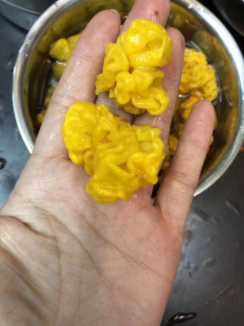 野生小金耳小黄耳