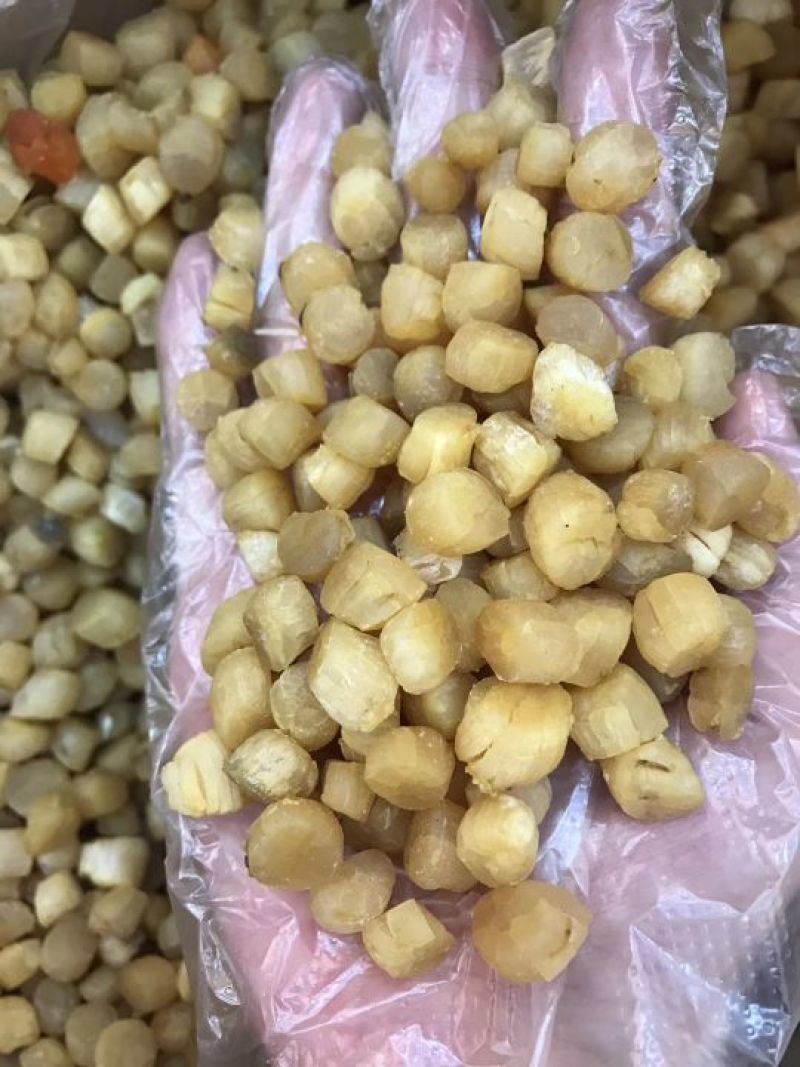 小元贝