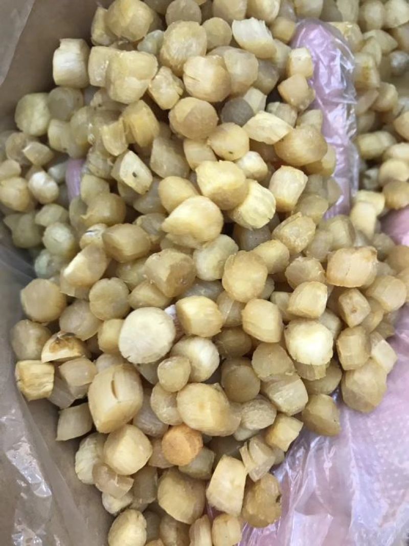 小元贝