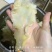 150头左右鳕鱼胶片