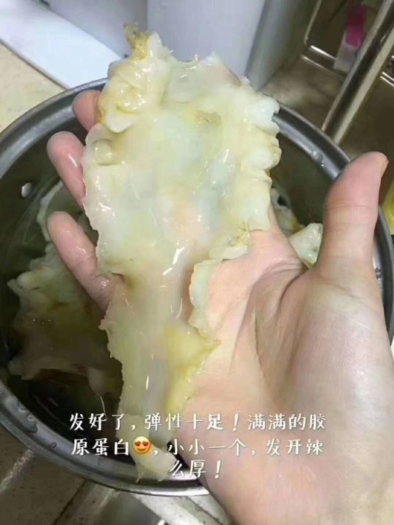 150头左右鳕鱼胶片