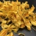 石斛花铁皮石斛花鼓槌石斛花花型大无斑点