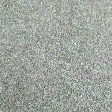 孜然