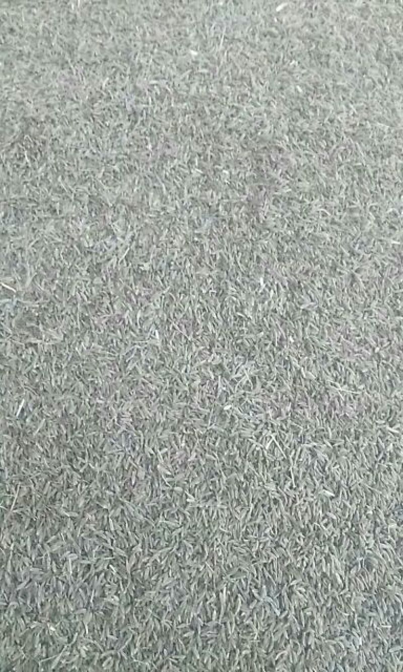 孜然