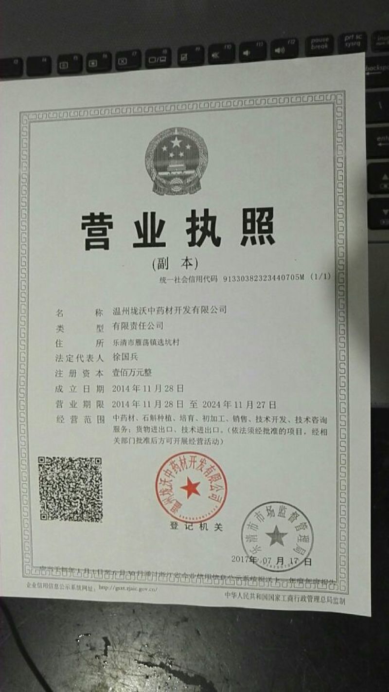 雁荡山近野生铁皮石斛木桩盆栽