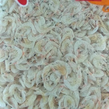 精品虾皮