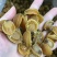 200头鲍鱼干