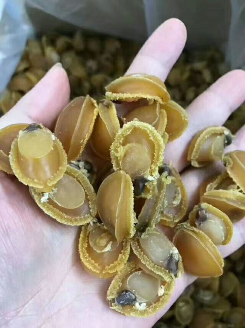 200头鲍鱼干