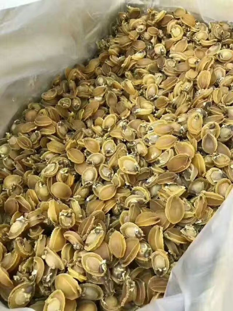 200头鲍鱼干