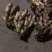 新鲜子姜！山东大棚子姜大量上市！产地直销！一手货源