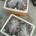 黑皮鸡枞鲜品菌包18505471949
