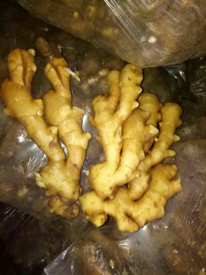 产地直供《大黄姜、小黄姜》品种齐全*质量保证