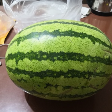 靖远硒砂瓜已大量上市，诚邀全国客商