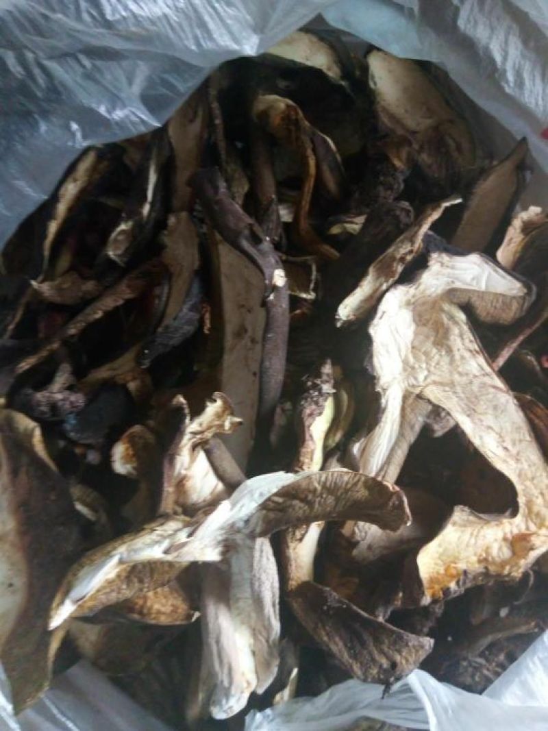 野生菌牛肝菌干片（黑），又名见手青，6月份开售