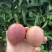 紫香一号百香果中大果5斤装