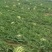 山西精品西瓜明地头茬西瓜成熟度好商超供应来电