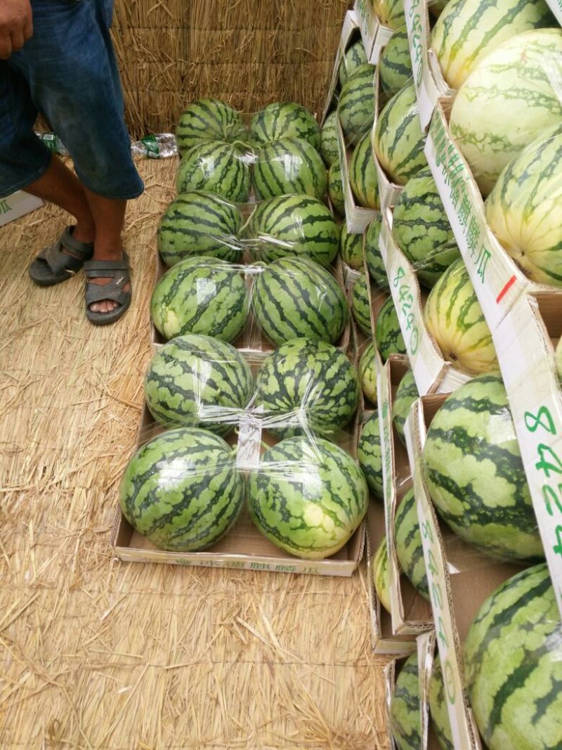美都，甜王，8424.