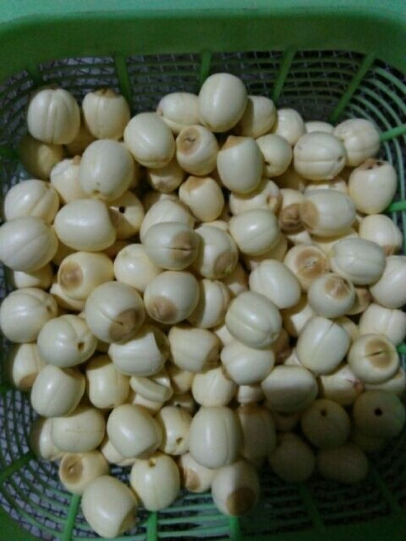 干莲.鲜莲.莲蓬.红莲