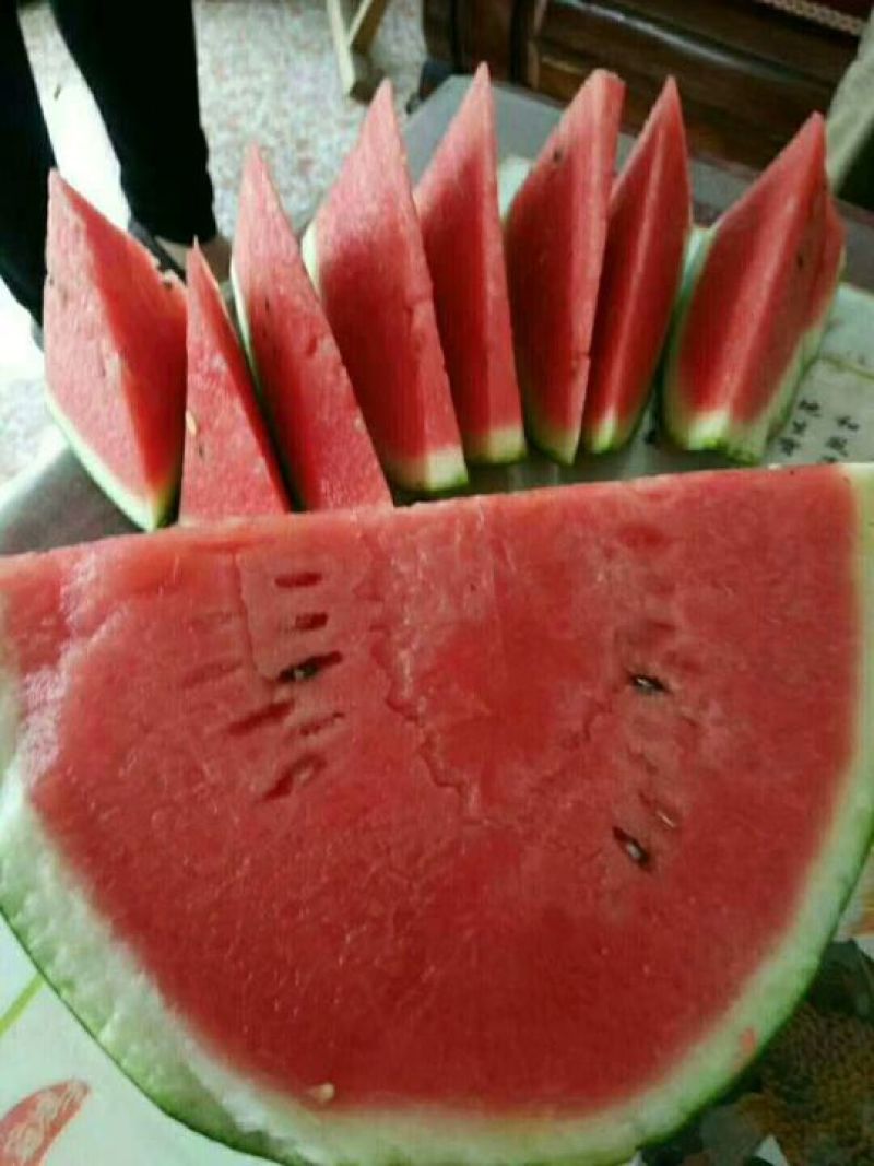 河南精品美都已大量上市，货源充足一手货源，产地直…