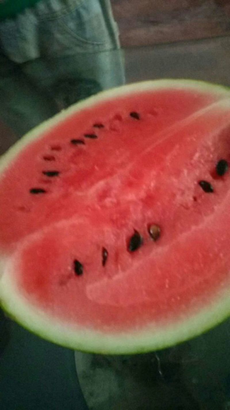 河南精品美都已大量上市，货源充足一手货源，产地直…