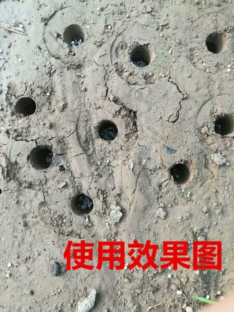 地下施肥器土下根部追肥器蔬菜玉米果树地膜