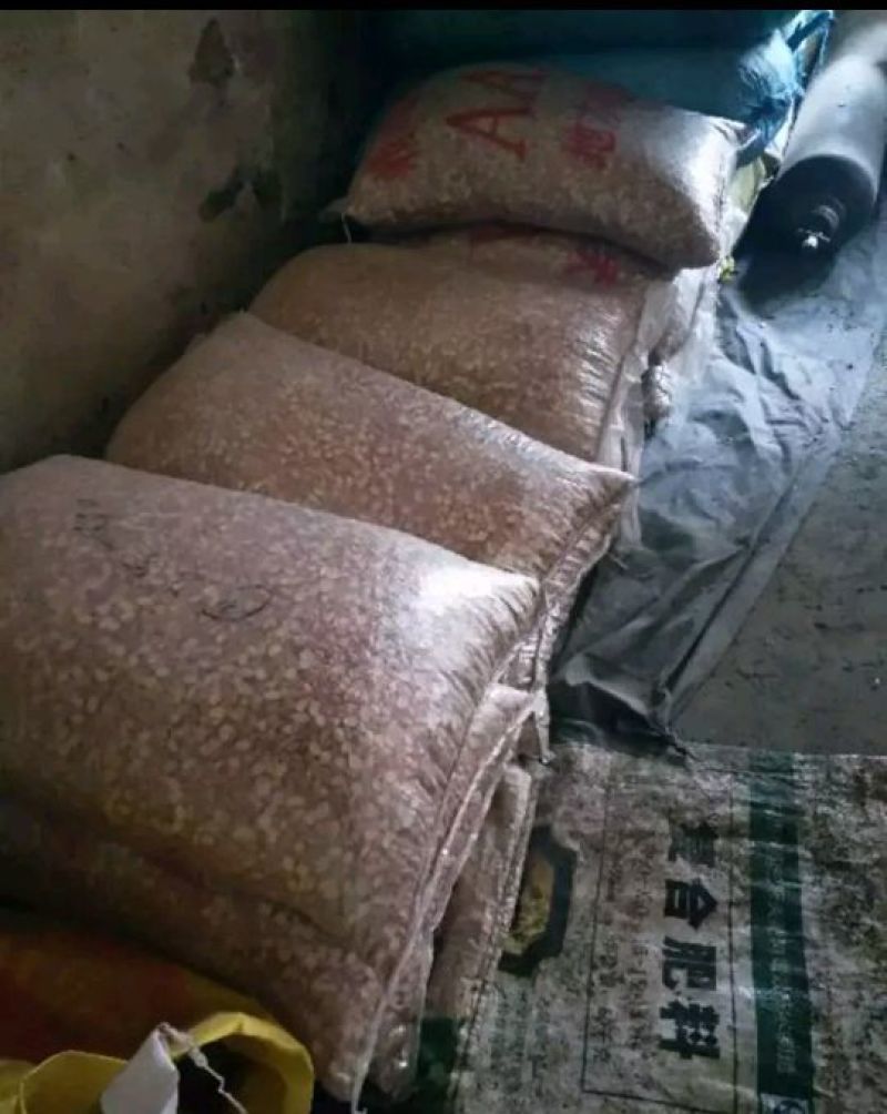 专业卖花生米