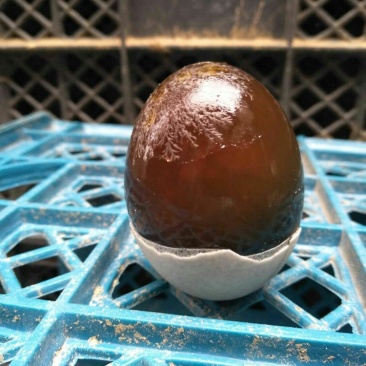 白洋淀正宗松花蛋每枚1.5两左右