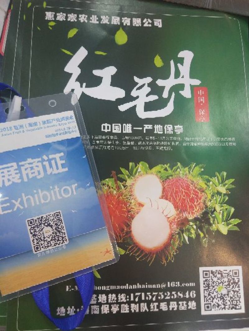 海南保亭红毛丹最大基地一件代发