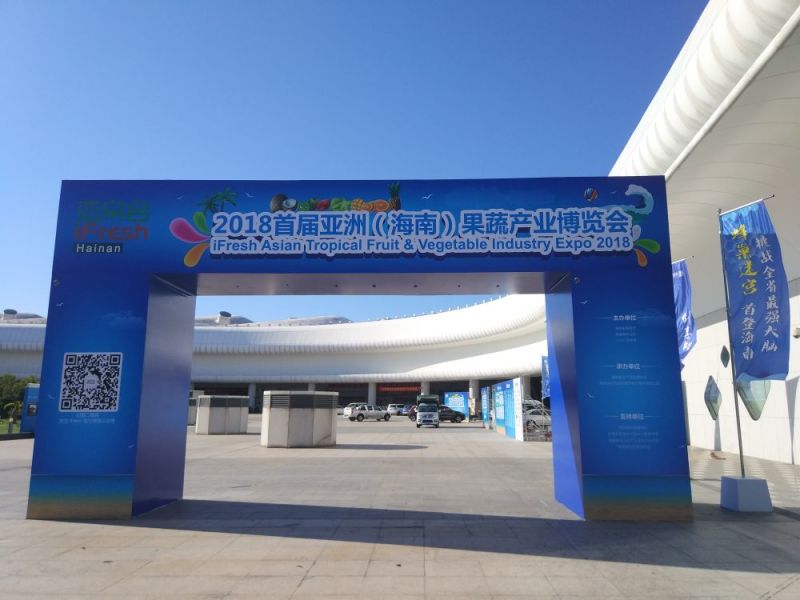 海南保亭红毛丹最大基地一件代发