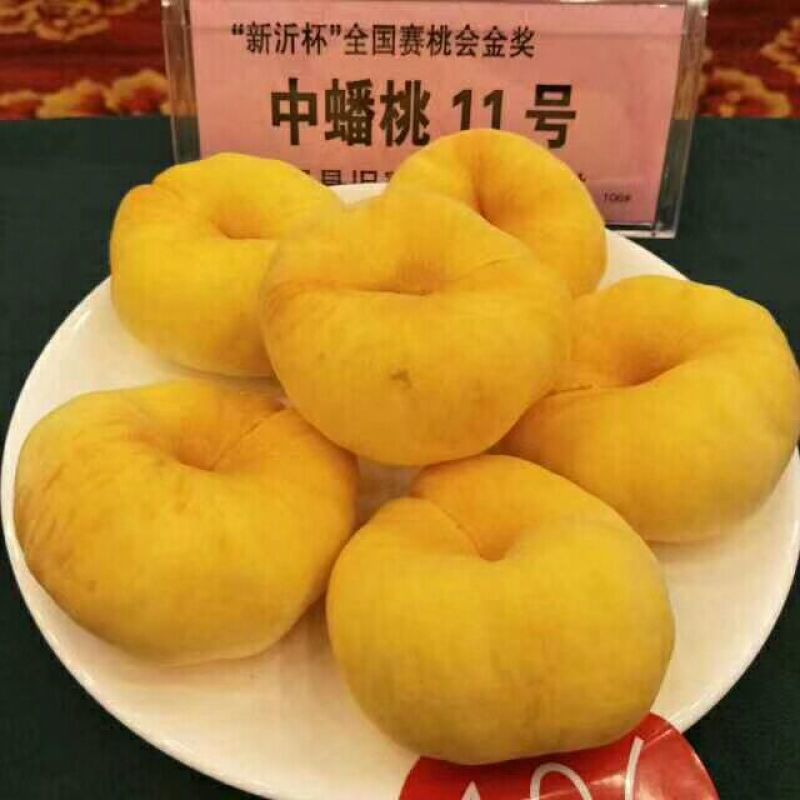 苹果种子新疆新疆野苹果种子抗旱嫁接成活率高大家都在用