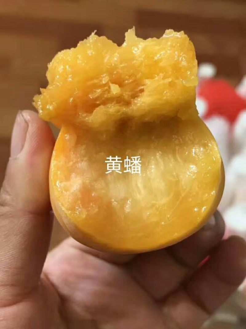 苹果种子新疆新疆野苹果种子抗旱嫁接成活率高大家都在用