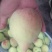 云南省蒙自鹰嘴蜜桃95mm以上