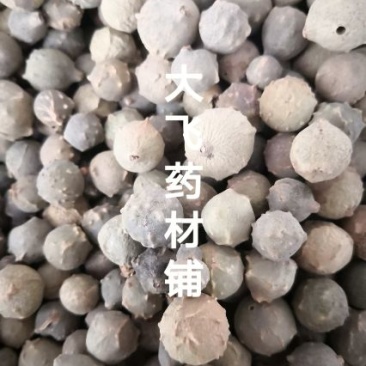 没食子进口1公斤起批无硫无添加不包邮正品