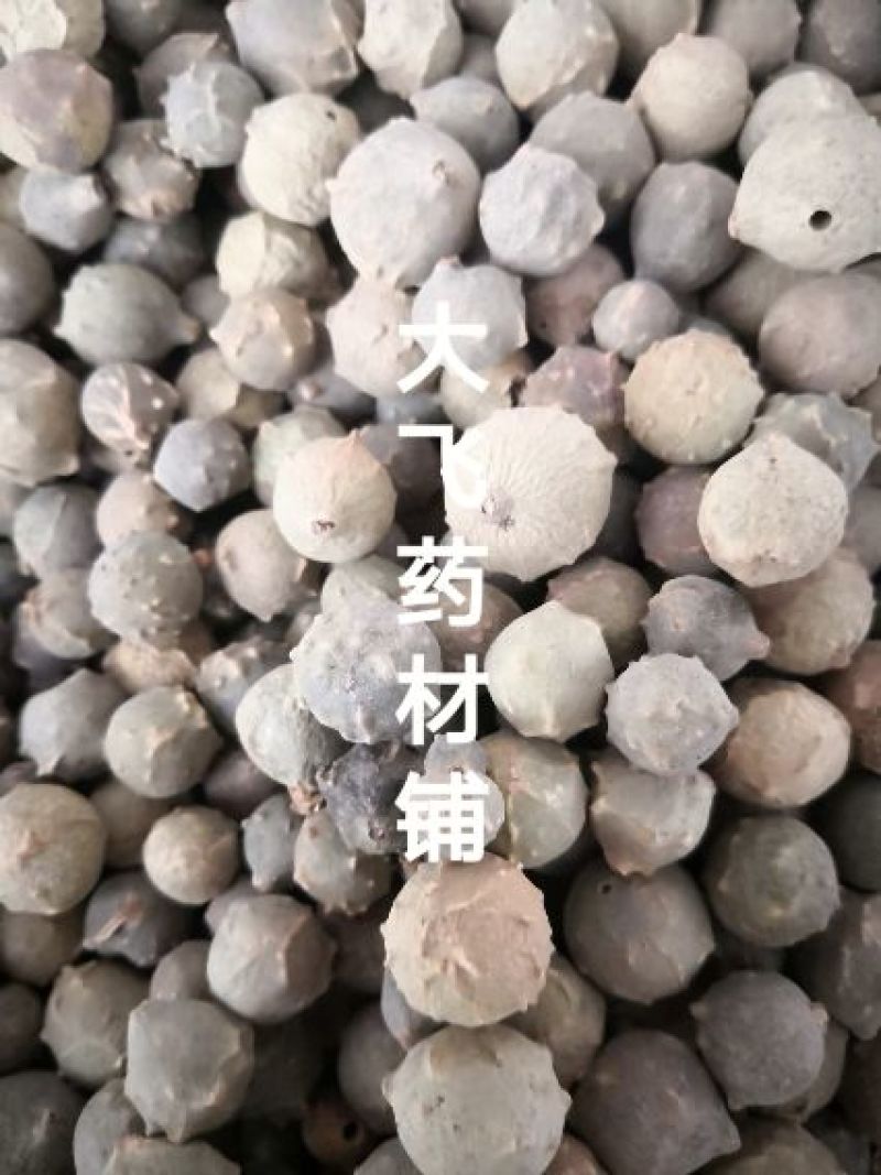 没食子进口1公斤起批无硫无添加不包邮正品