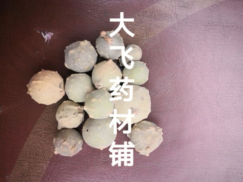 没食子进口1公斤起批无硫无添加不包邮正品