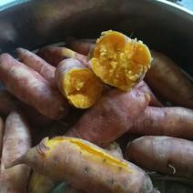 红薯，品种有西瓜红，商薯19，哈蜜，澳洲紫白，龙九，济薯