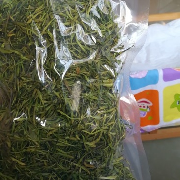 金银花蕾可泡茶绿花