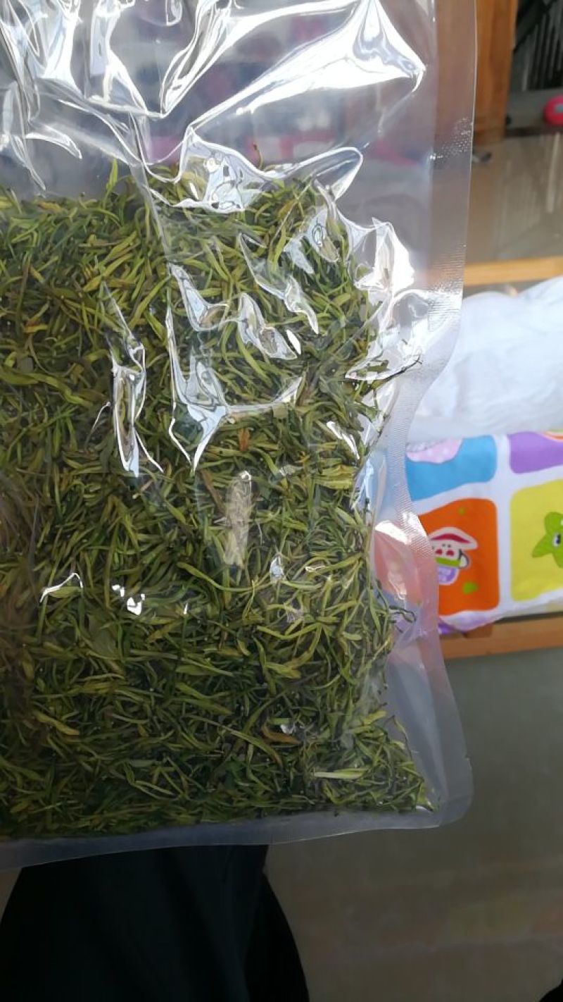 金银花蕾可泡茶绿花