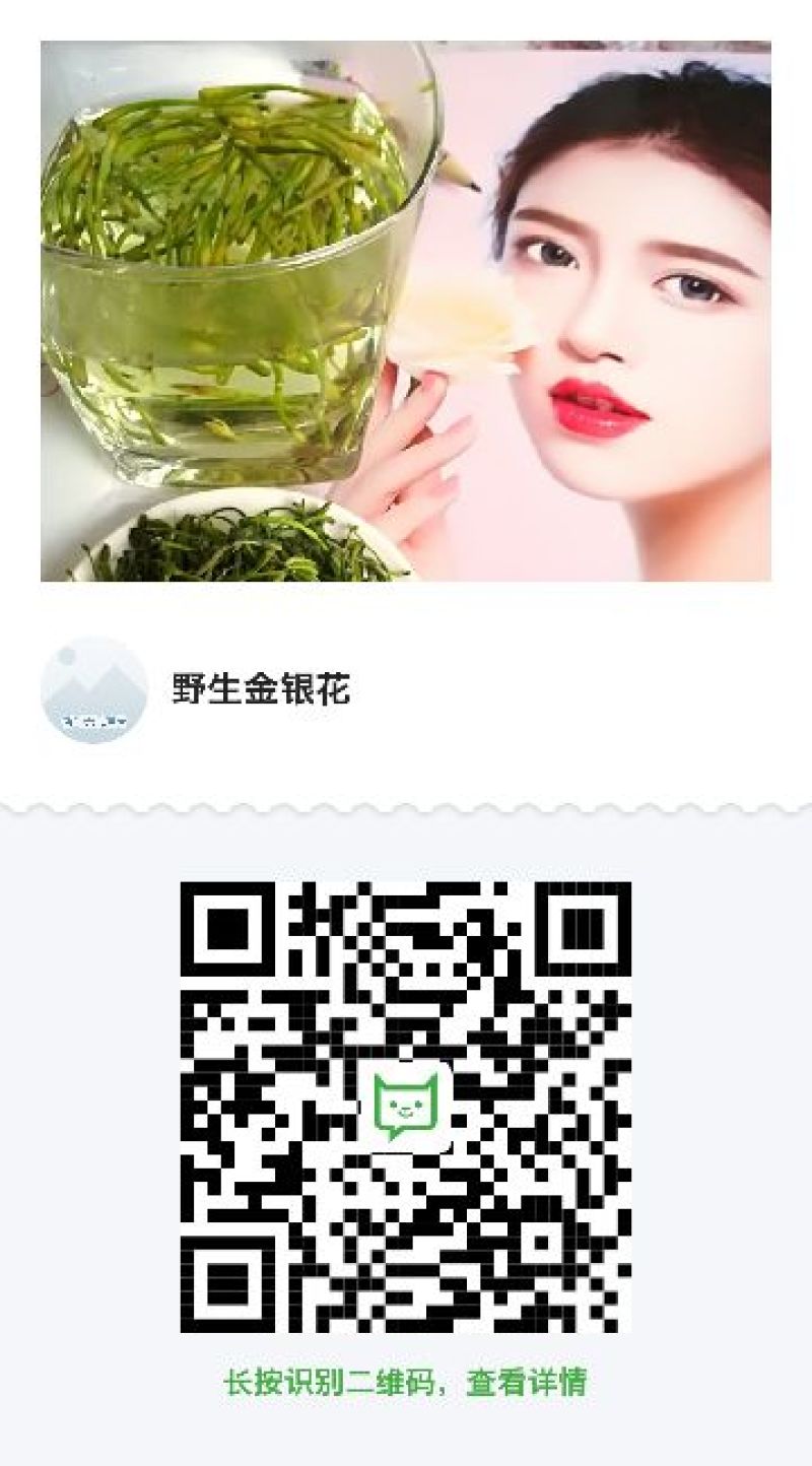 金银花蕾可泡茶绿花