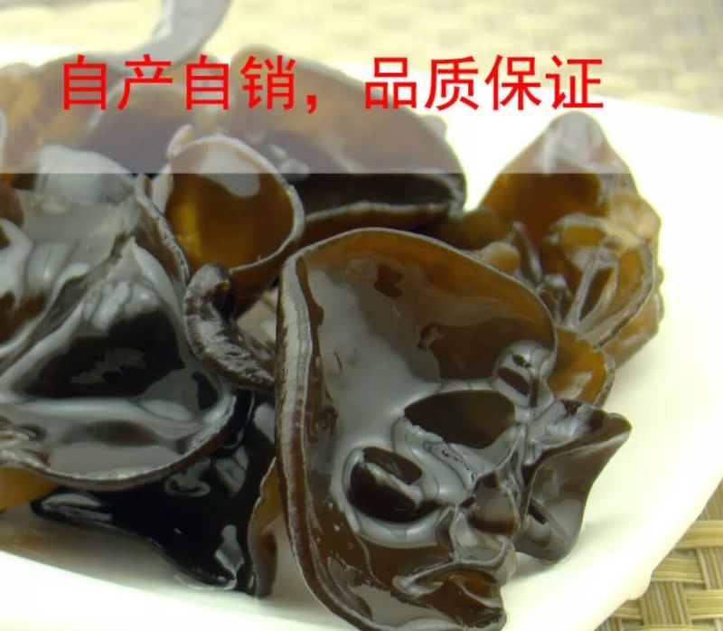 头茬黑木耳