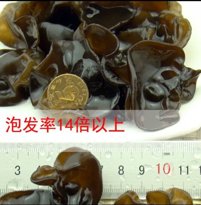 头茬黑木耳