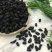 桑葚干食用四川干货口感好无泥沙2斤包邮量大从优