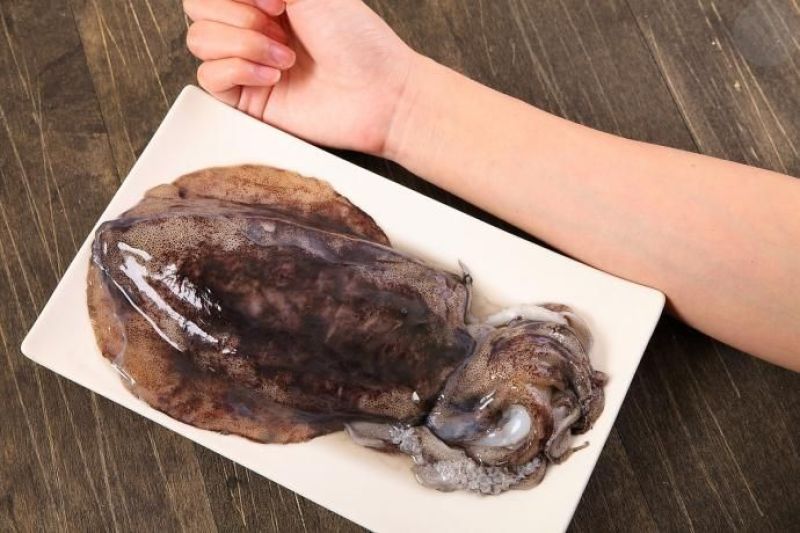 鱿鱼食用冰冻