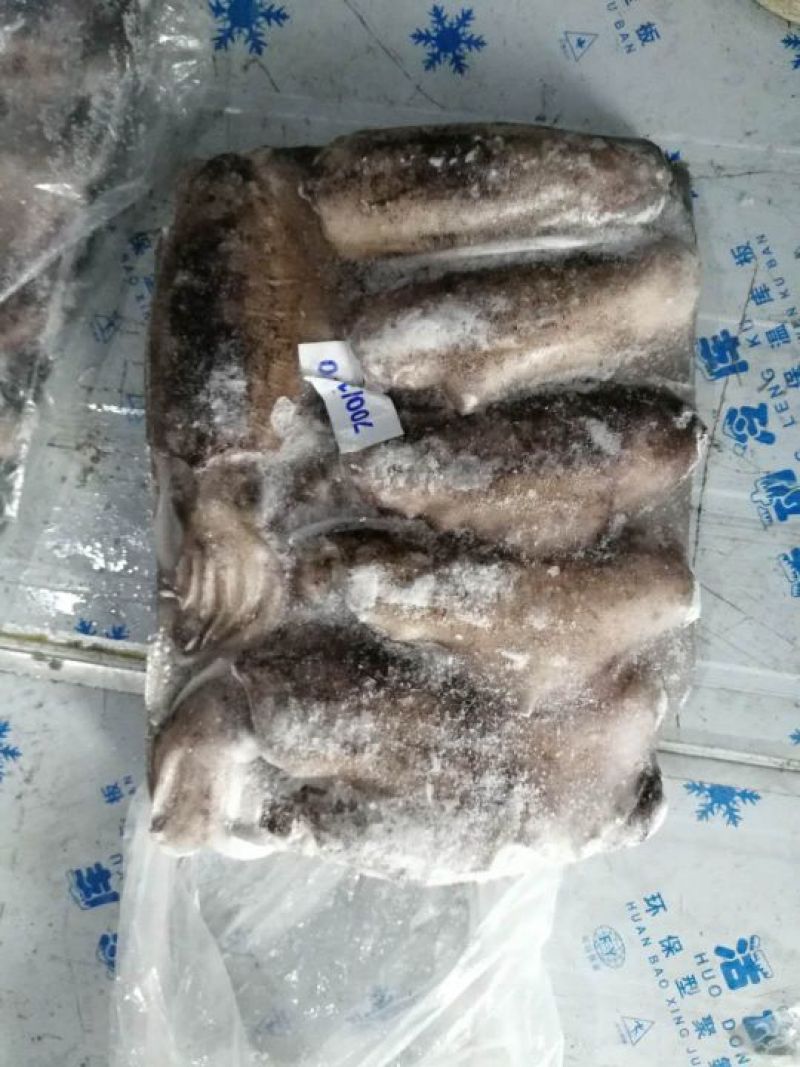 鱿鱼食用冰冻