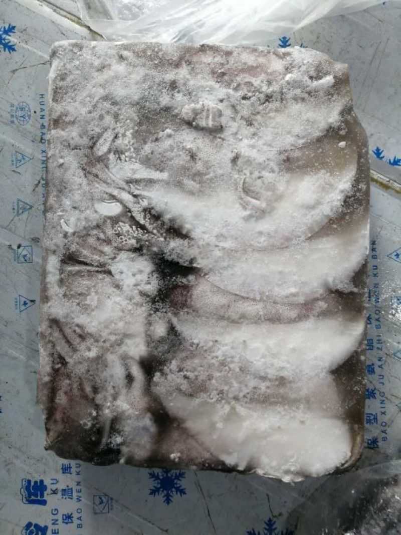 鱿鱼食用冰冻