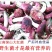 红菇0.1%1%二级8~10cm