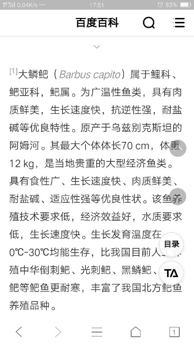 银鳕鱼大鳞鲃鱼场直供保证品质可送货上门量大从优