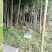 农村大山区天然土蜂蜜