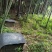 农村大山区天然土蜂蜜